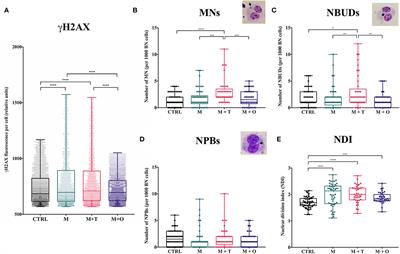 Genotoxicity of Marijuana in Mono-Users